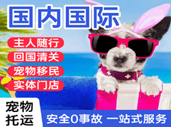 天津滨海空运代理国际宠物托运 【国